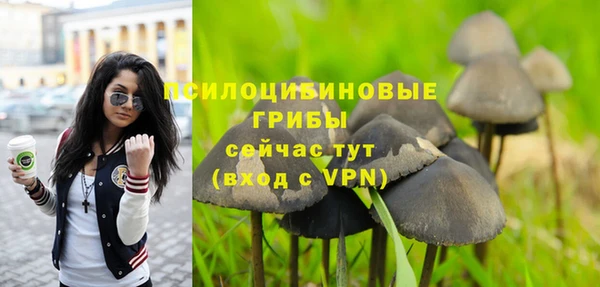 спайс Баксан