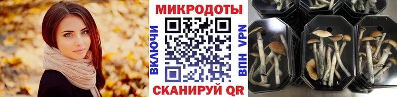 хочу   Задонск  мега сайт  Галлюциногенные грибы Cubensis 